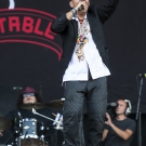 Preview Image 1